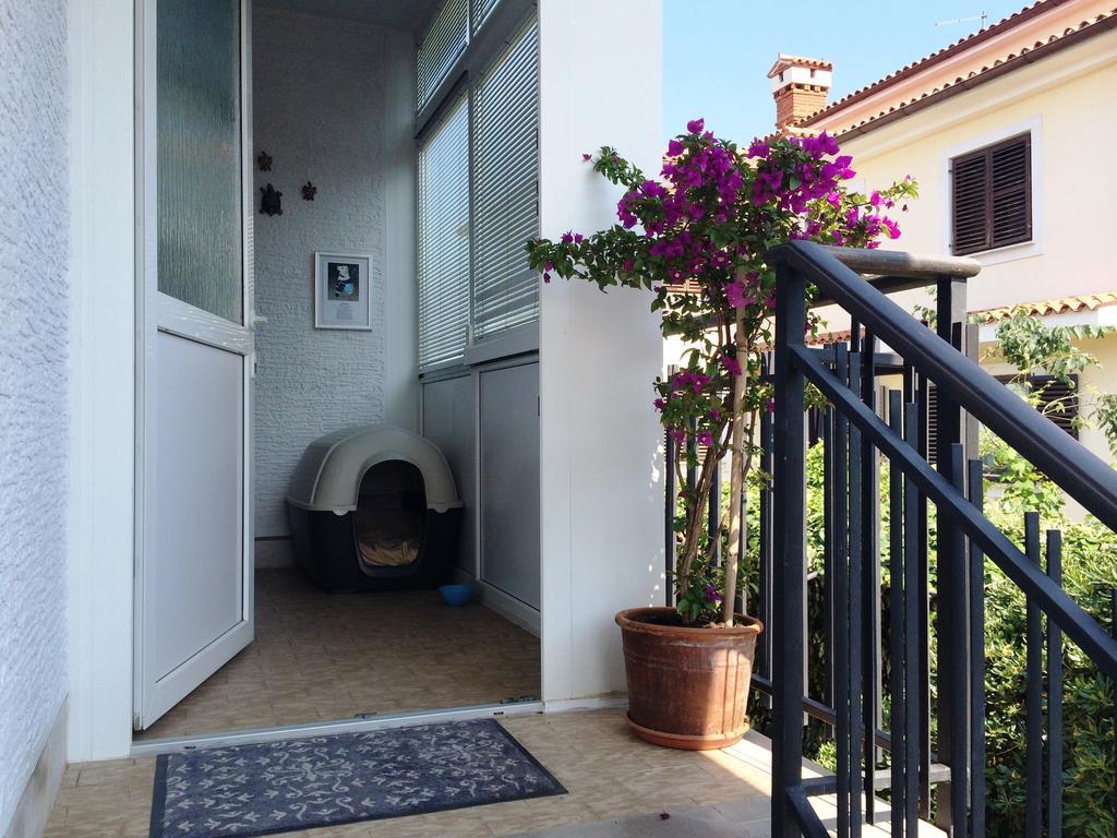 איזולה Apartments Kolorcek מראה חיצוני תמונה